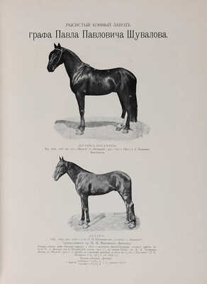 Максимович Л.К. Иллюстрированный альбом рысистого и скакового спорта и перечень русских конных заводов. М.: , 1905.